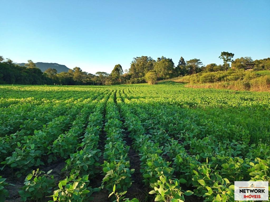 CHÁCARA - CHA1168631