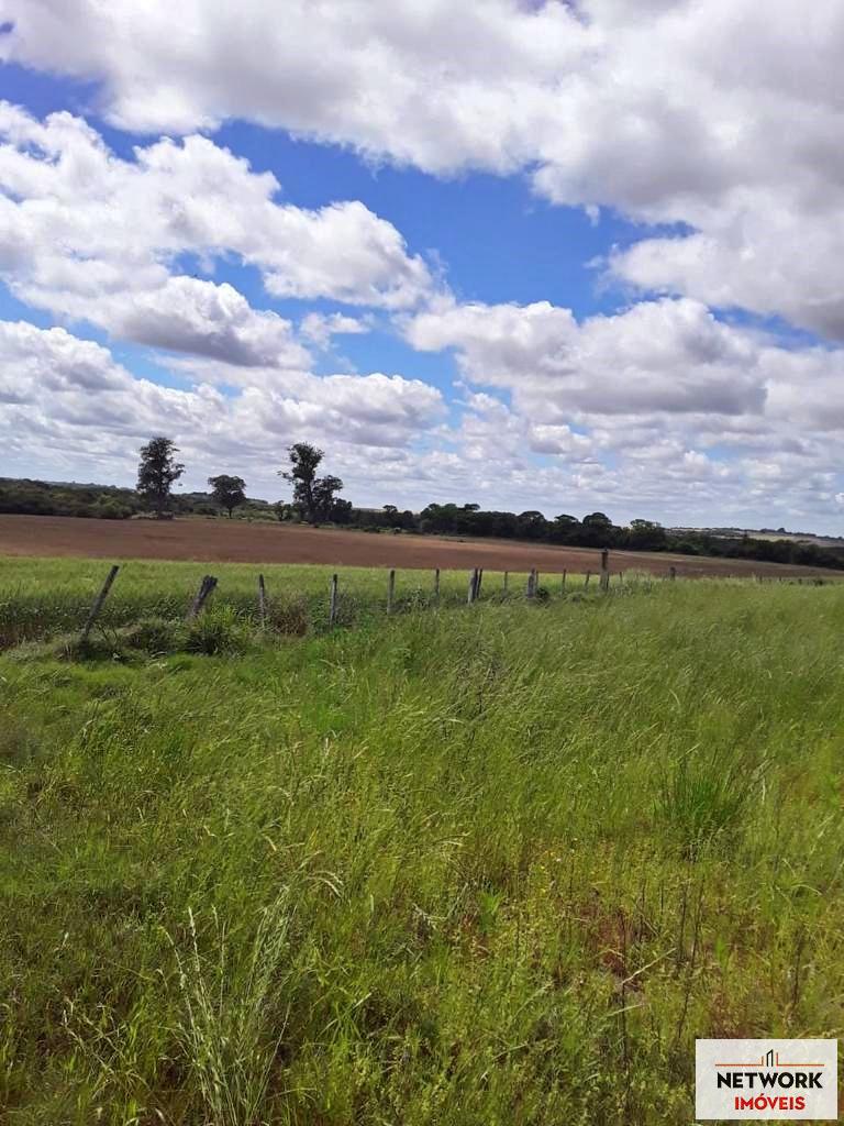 ÁREA DE TERRAS ART1207477