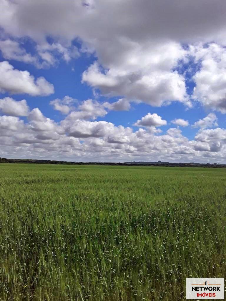 ÁREA DE TERRAS ART1207477