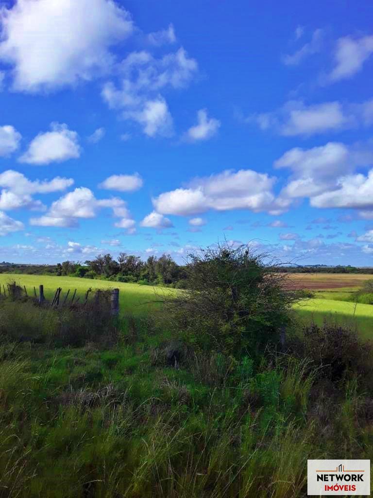 ÁREA DE TERRAS ART1207477