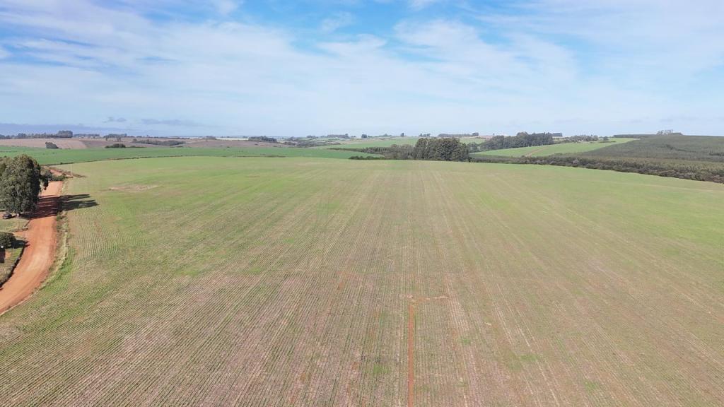 ÁREA DE TERRAS ART1045358