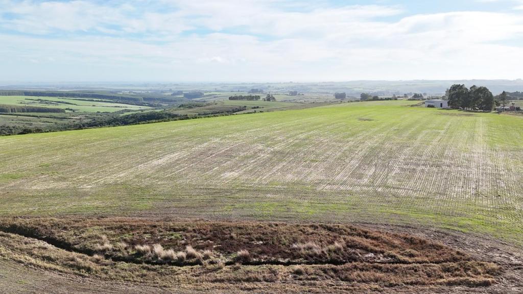 ÁREA DE TERRAS ART1045358