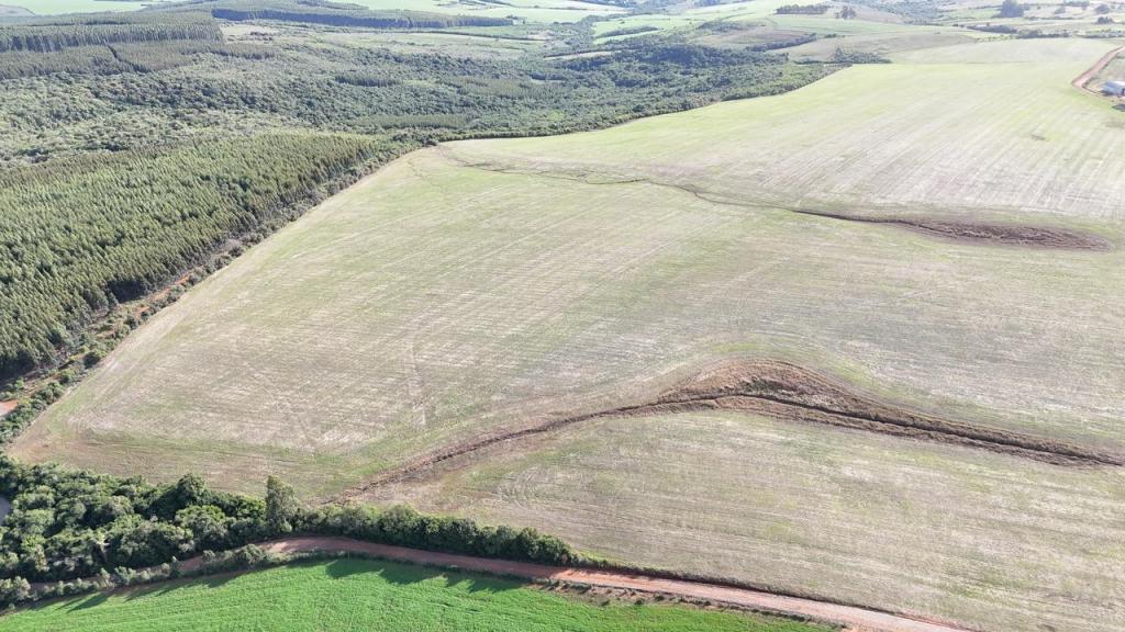 ÁREA DE TERRAS ART1045358