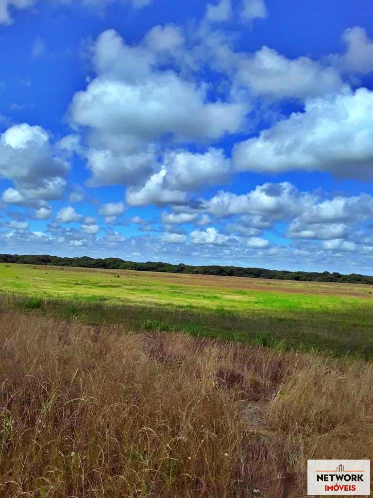 ÁREA DE TERRAS ART1207477