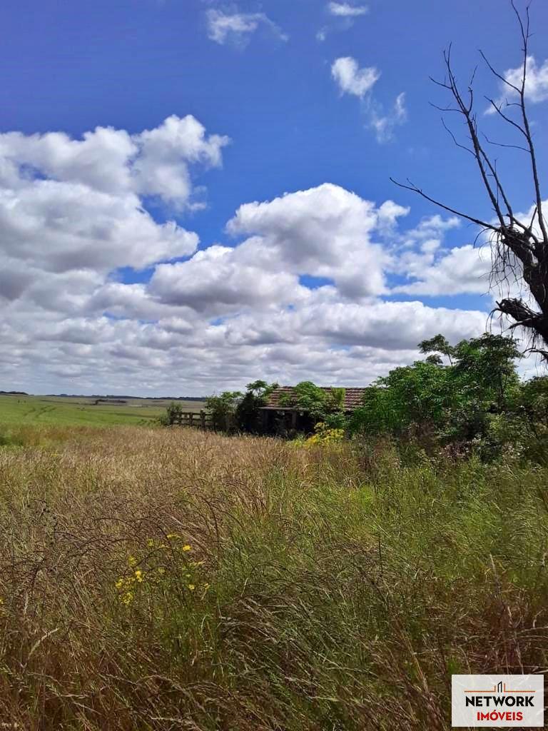 ÁREA DE TERRAS ART1207477