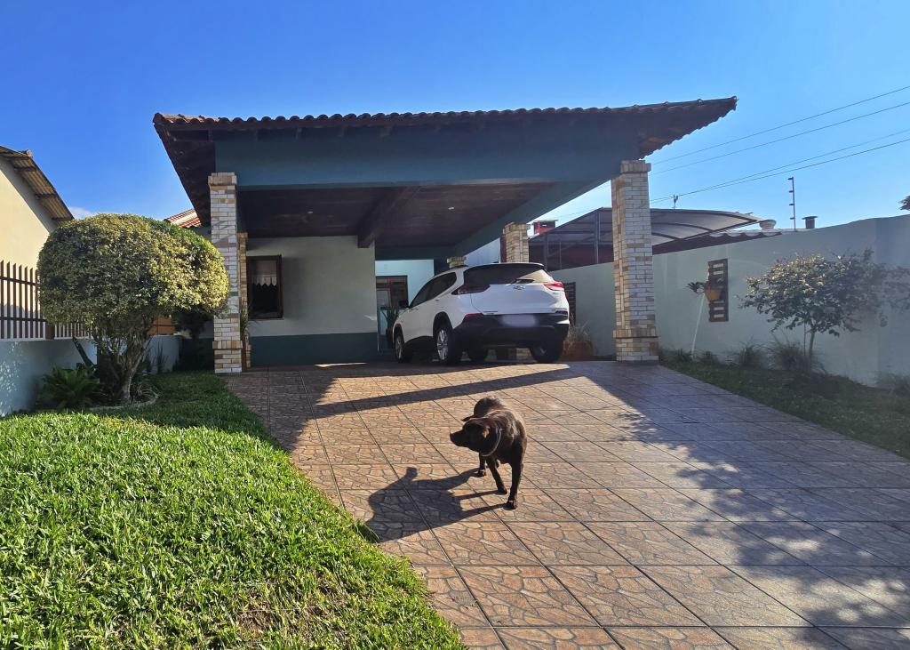 CASA CAS1295566