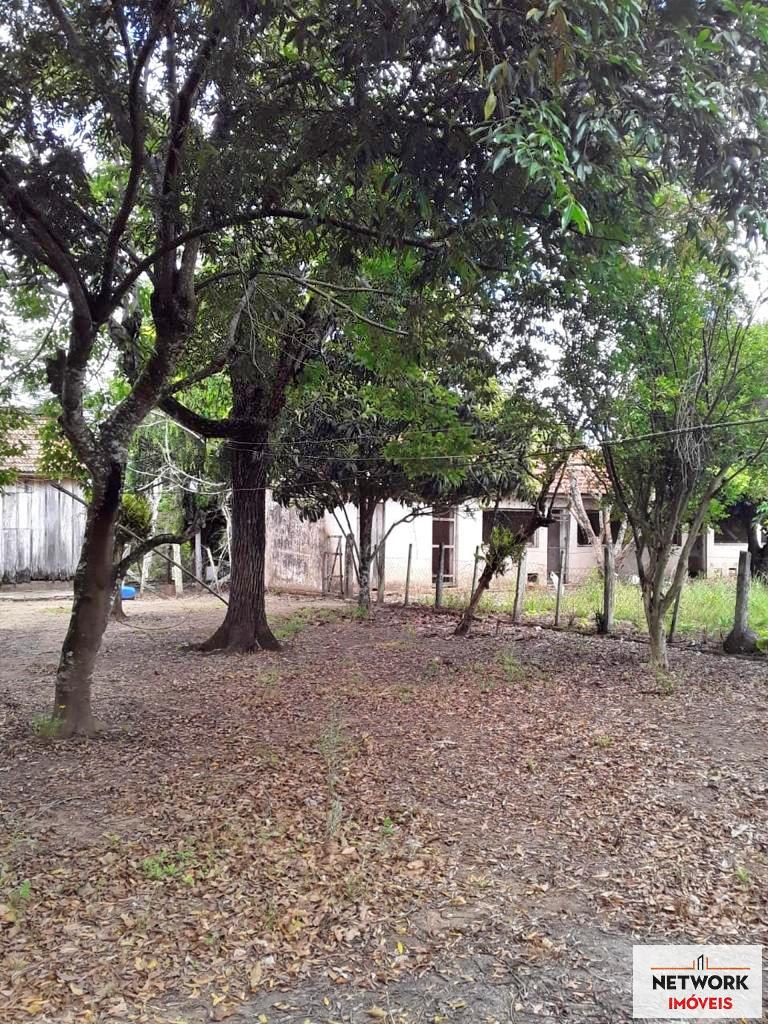 ÁREA DE TERRAS ART1207477