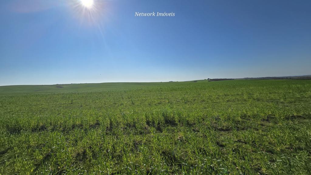 ÁREA DE TERRAS - ART1214826