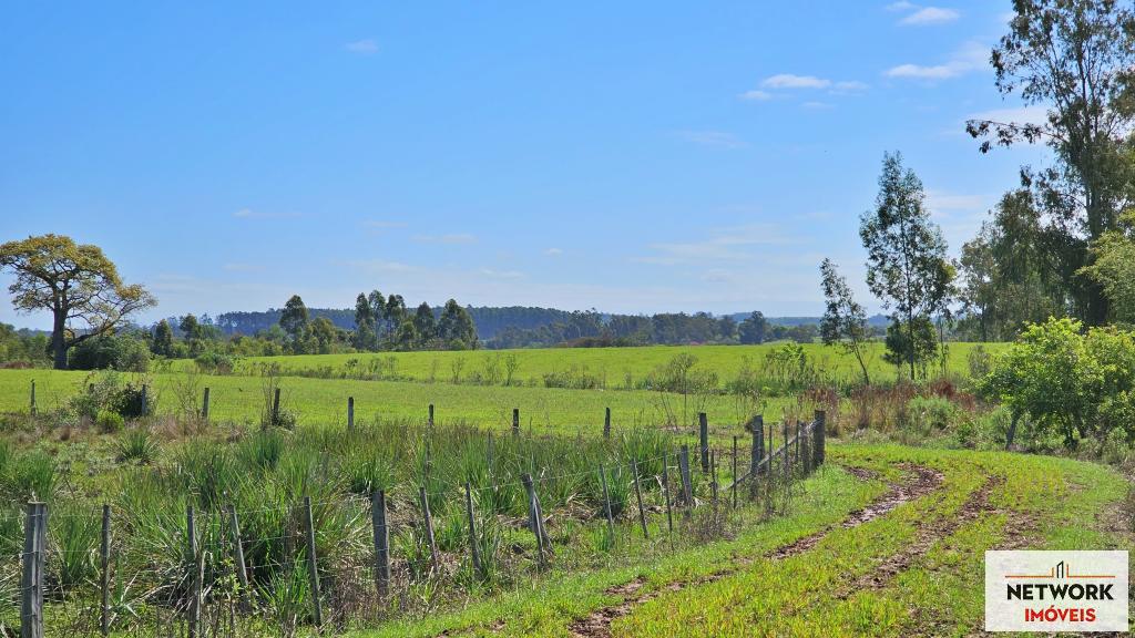 ÁREA DE TERRAS ART1266627