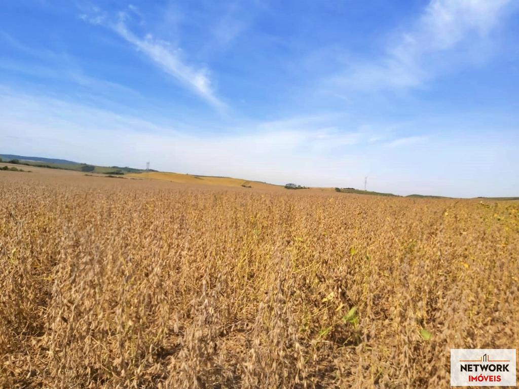 FAZENDA FAZ1247988