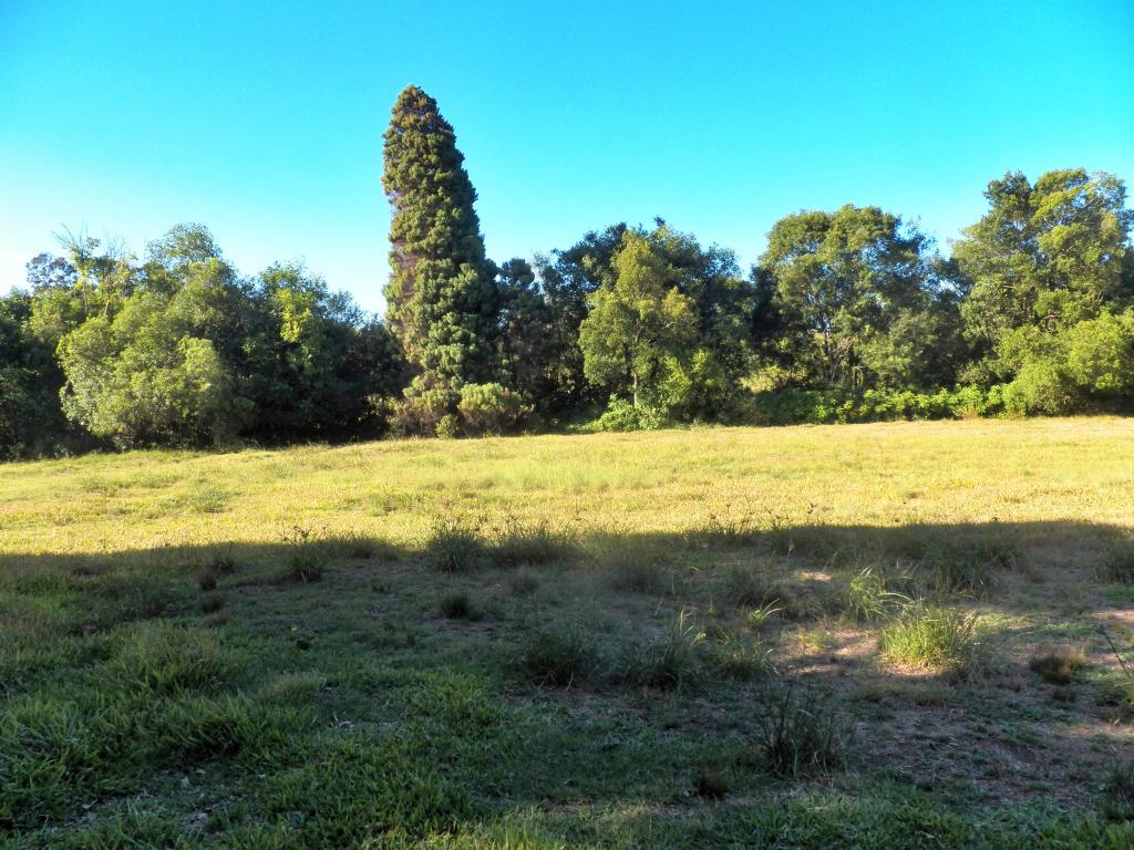 ÁREA DE TERRAS ART1025084