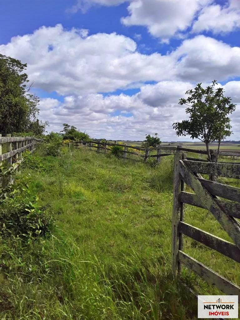 ÁREA DE TERRAS ART1207477