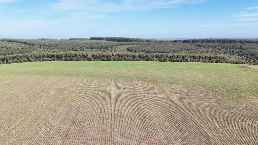 ÁREA DE TERRAS ART1045358