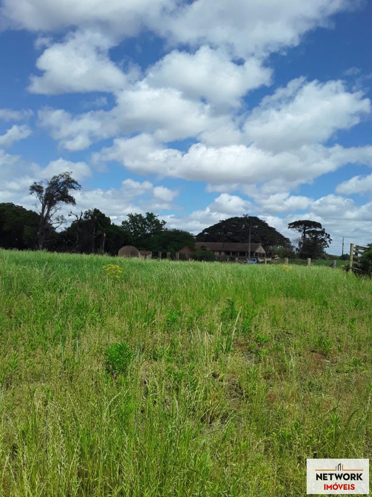 ÁREA DE TERRAS ART1207477