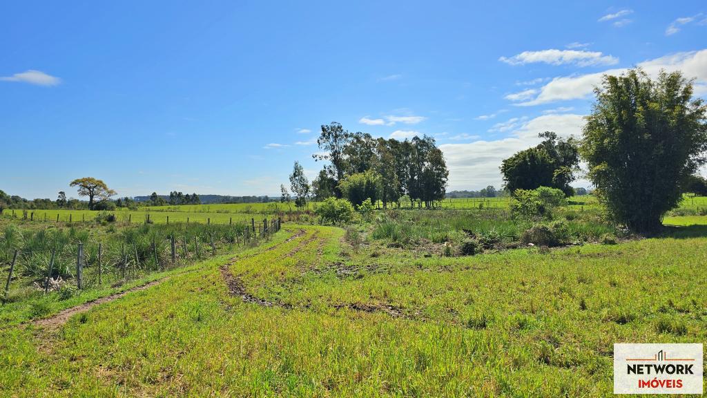 ÁREA DE TERRAS ART1266627