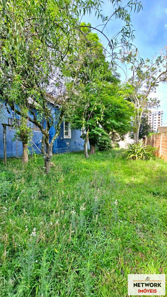 CASA CAS1281324