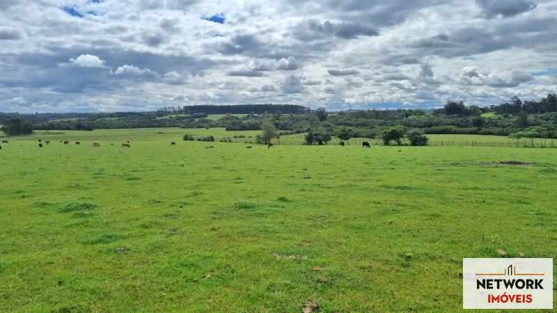 ÁREA DE TERRAS ART1168668