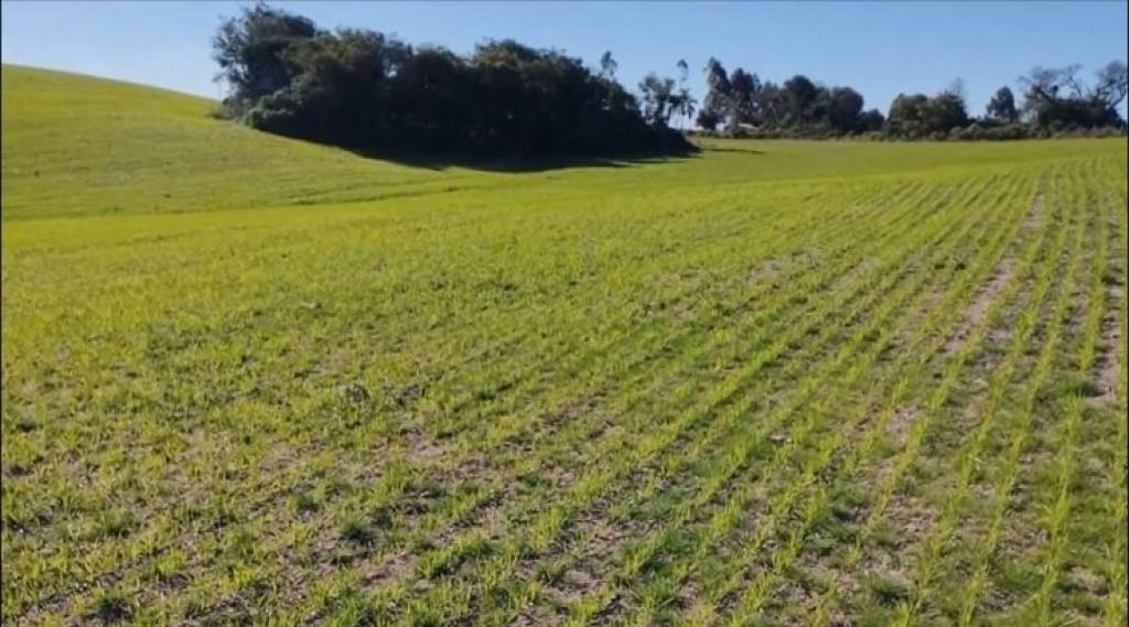 ÁREA DE TERRAS ART1178205