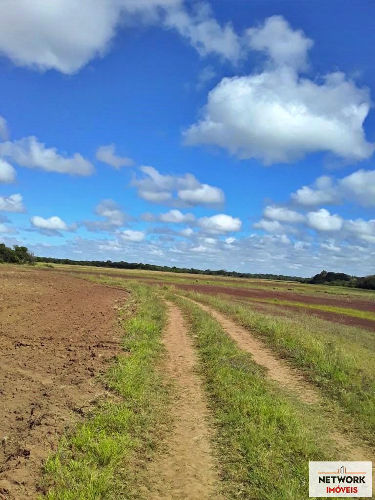 ÁREA DE TERRAS ART1207477