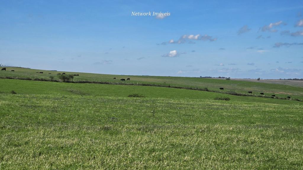 ÁREA DE TERRAS ART1245084
