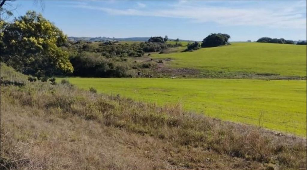 ÁREA DE TERRAS ART1178205