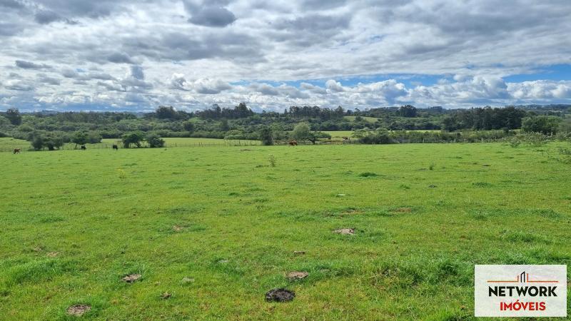 ÁREA DE TERRAS ART1168668