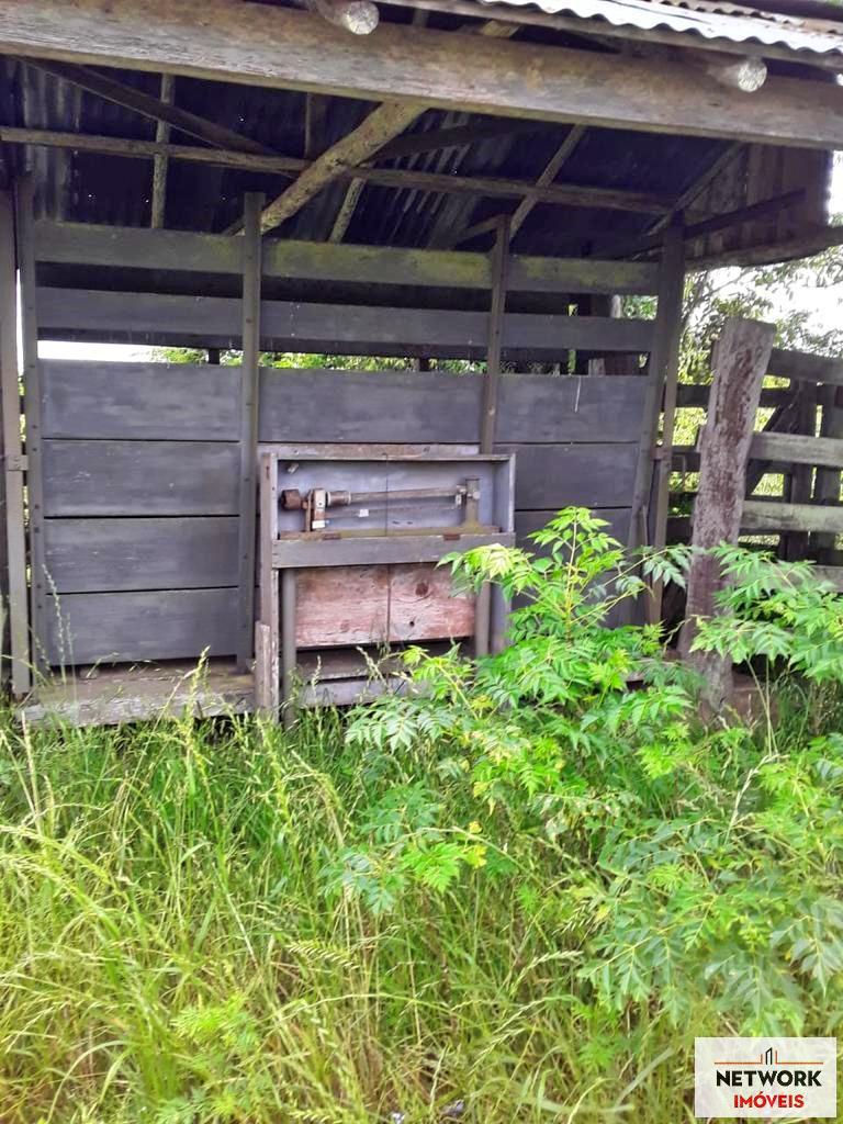 ÁREA DE TERRAS ART1207477