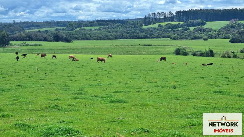 ÁREA DE TERRAS ART1168668