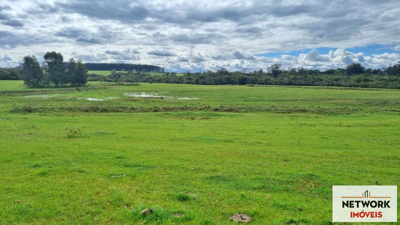 ÁREA DE TERRAS ART1168668