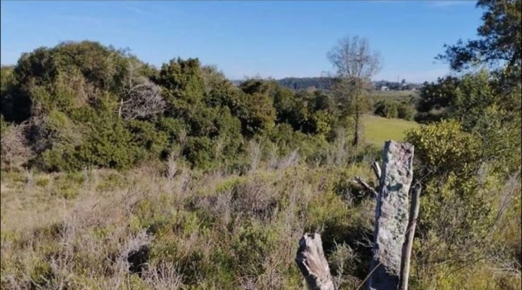 ÁREA DE TERRAS ART1178205