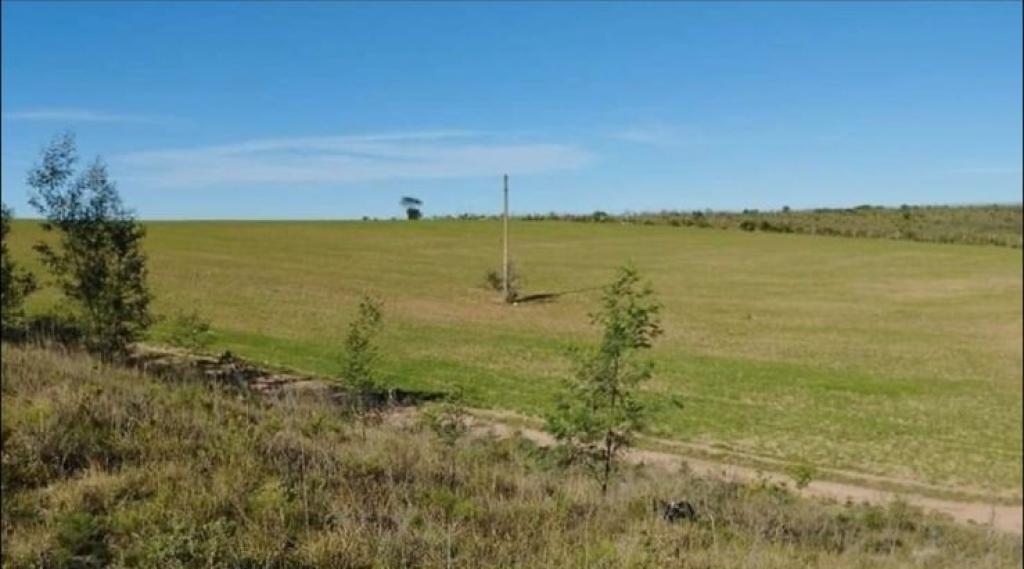 ÁREA DE TERRAS ART1178205