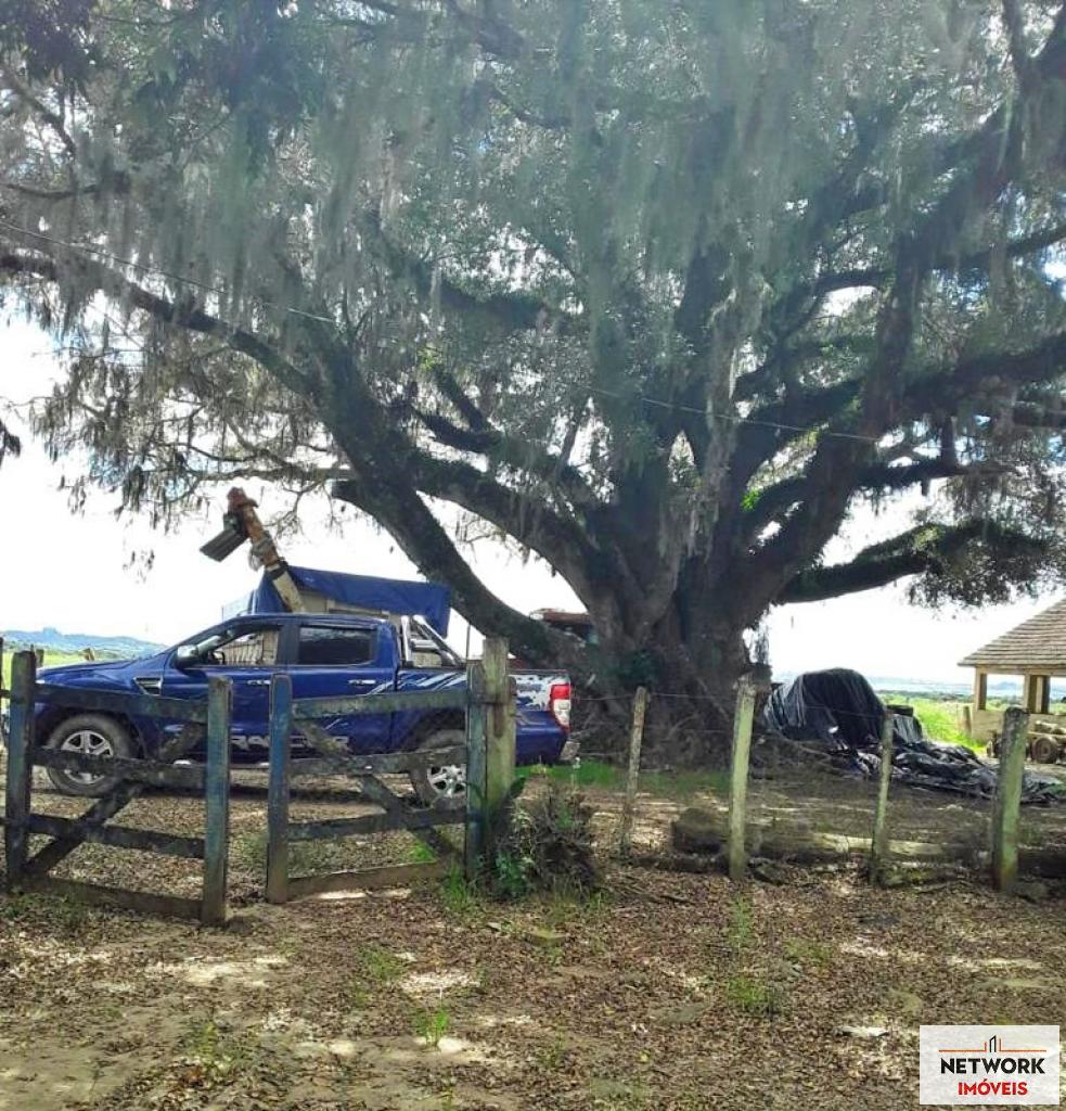 ÁREA DE TERRAS ART1207477