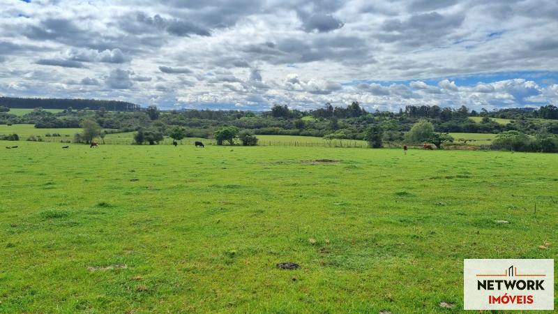 ÁREA DE TERRAS ART1168668