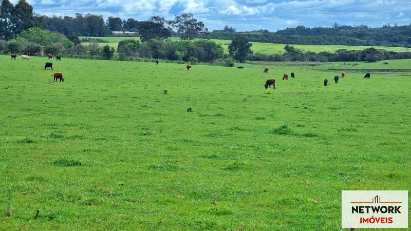 ÁREA DE TERRAS ART1168668