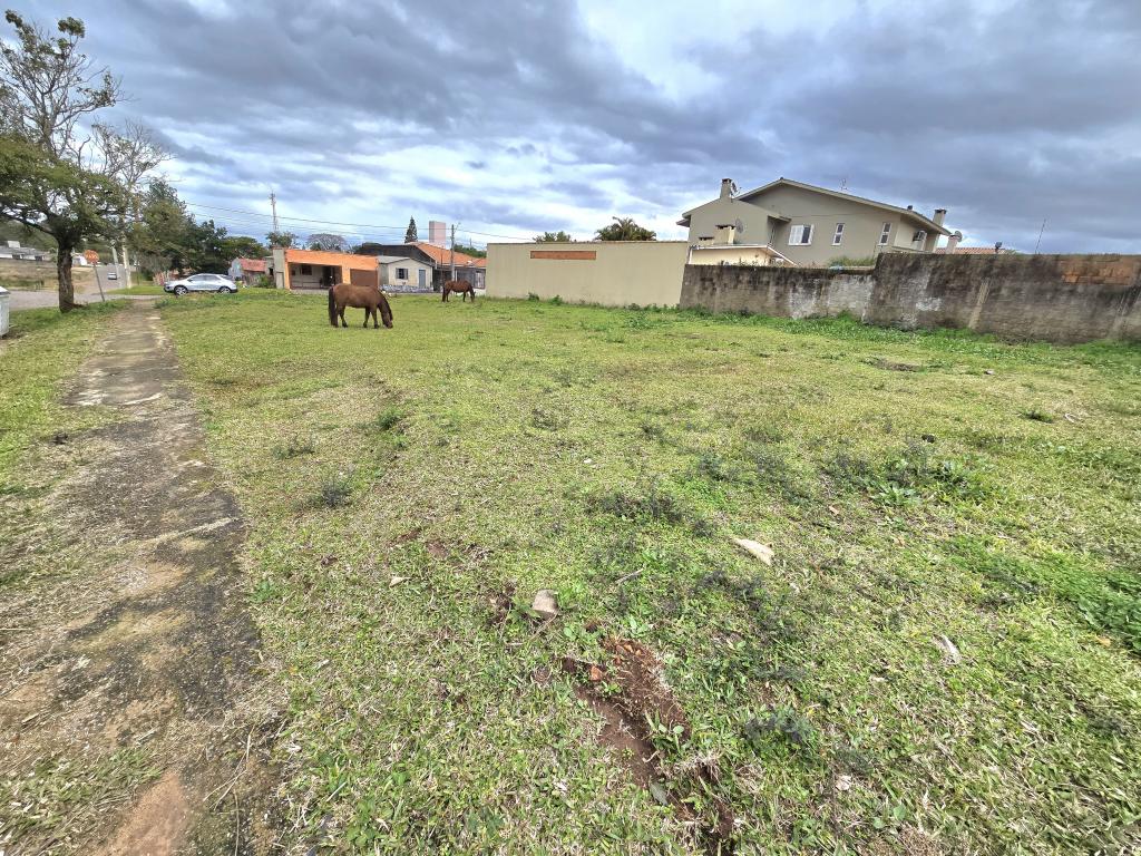 TERRENO TER1304315