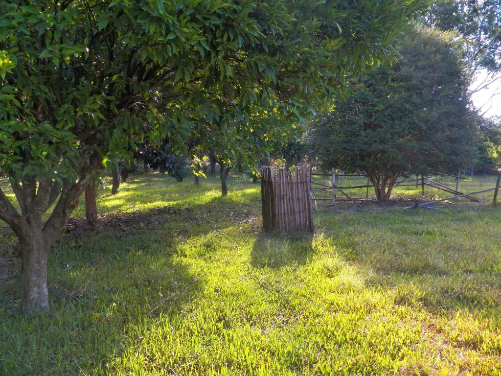 ÁREA DE TERRAS ART1025084