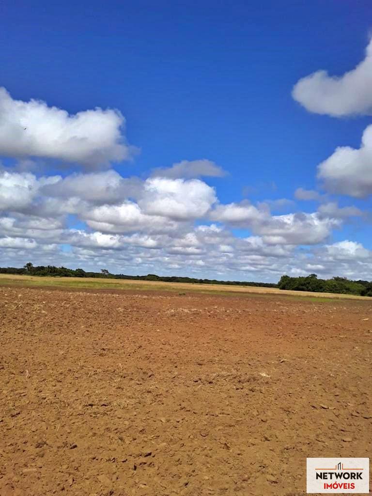 ÁREA DE TERRAS ART1207477