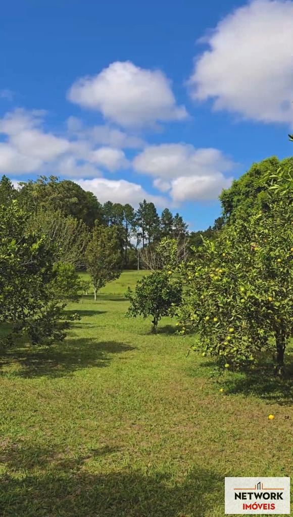 ÁREA DE TERRAS ART1168668