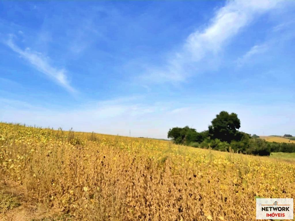 FAZENDA FAZ1245146