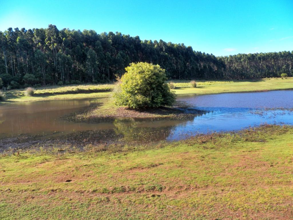 ÁREA DE TERRAS ART1025084