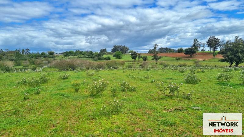 ÁREA DE TERRAS ART1168668