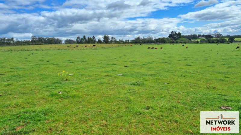 ÁREA DE TERRAS ART1168668