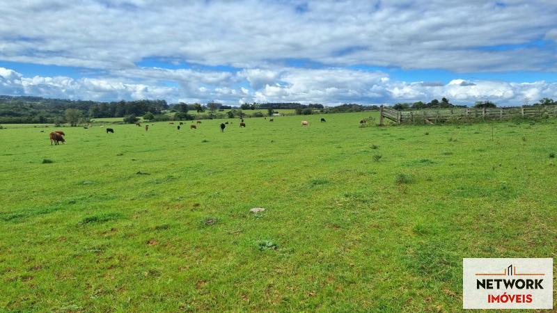 ÁREA DE TERRAS ART1168668