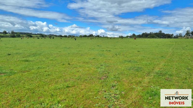 ÁREA DE TERRAS ART1168668