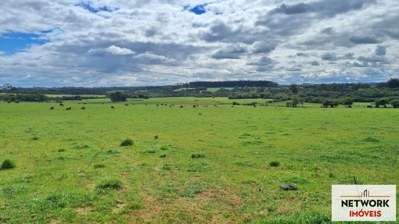 ÁREA DE TERRAS ART1168668