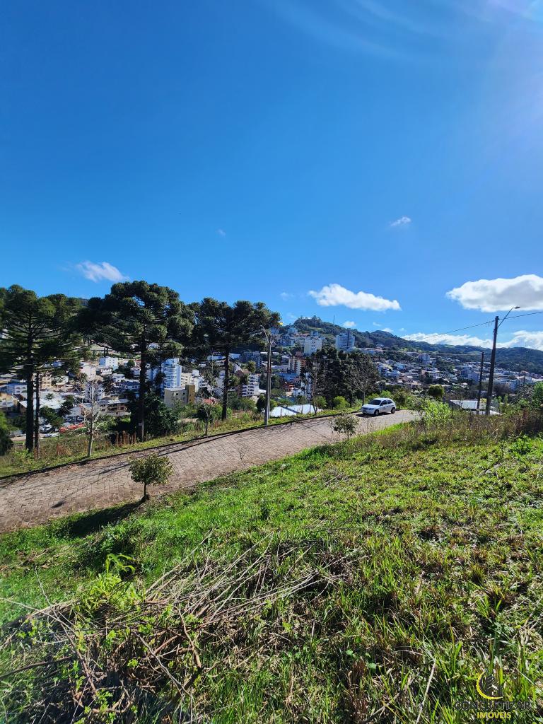 TERRENO TER1329770