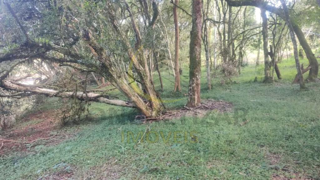 ÁREA DE TERRAS ART1328735