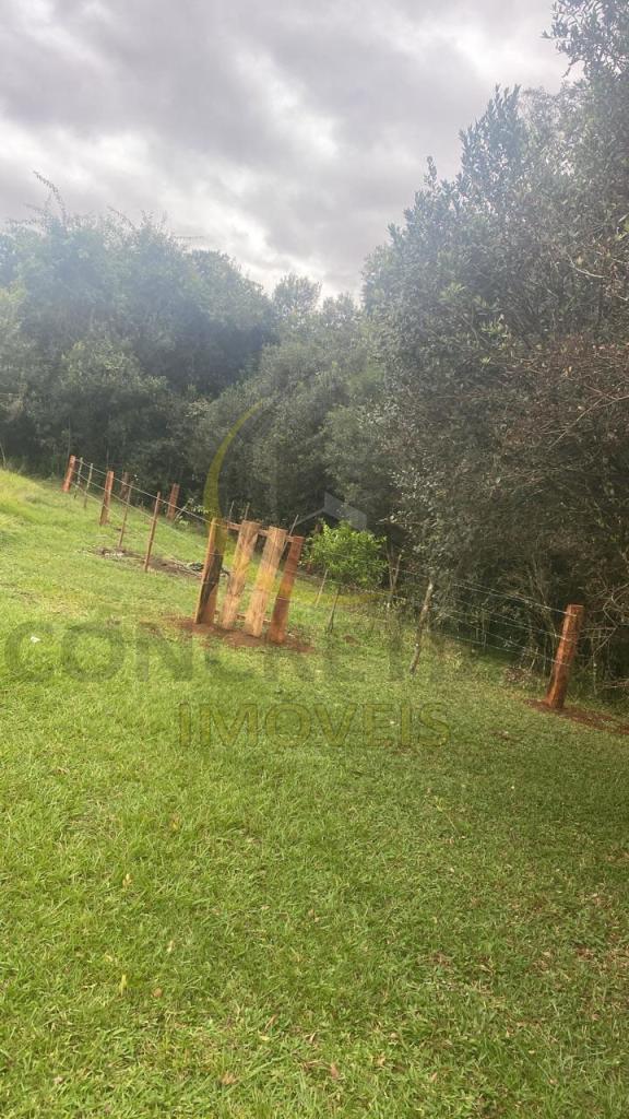 ÁREA DE TERRAS ART1328735