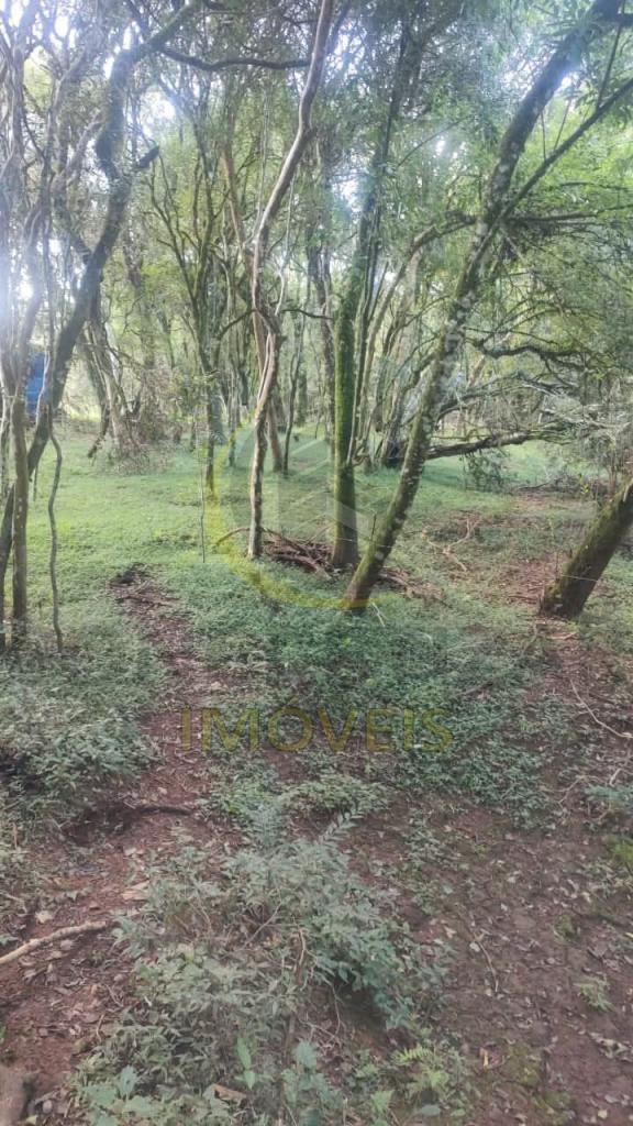 ÁREA DE TERRAS ART1328735