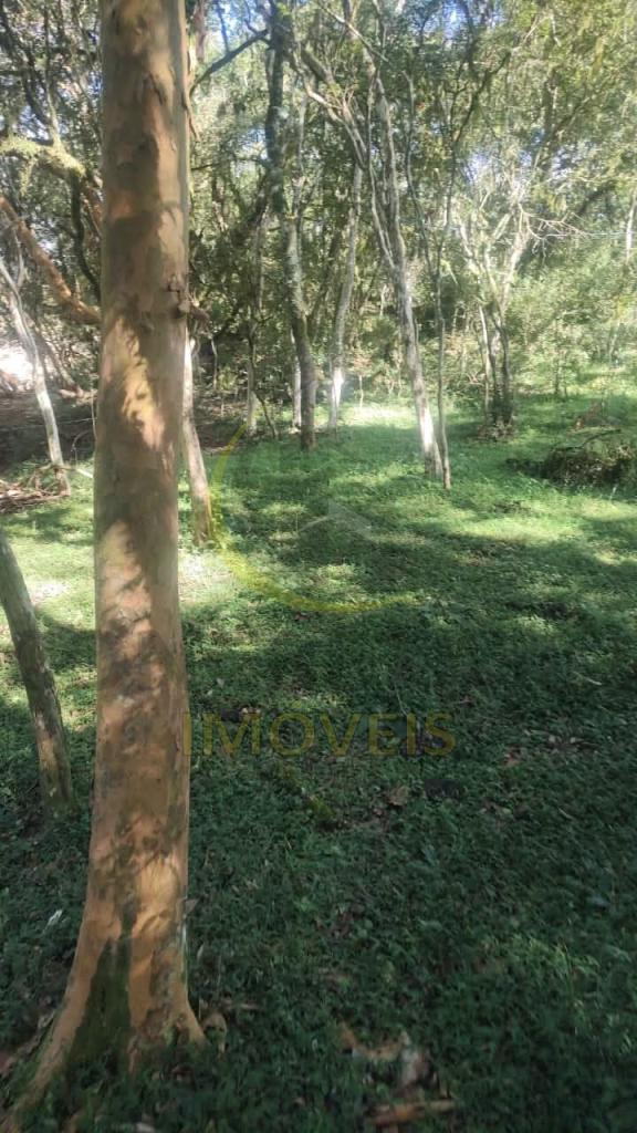 ÁREA DE TERRAS ART1328735